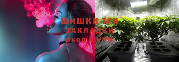 стафф Кулебаки