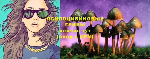 МДПВ Куйбышев