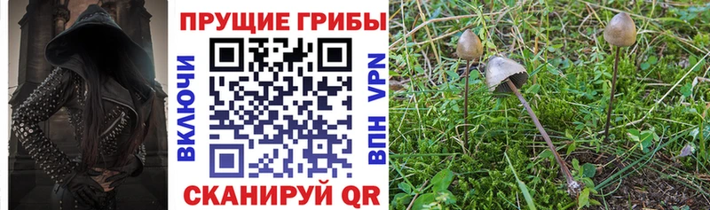Псилоцибиновые грибы прущие грибы Западная Двина