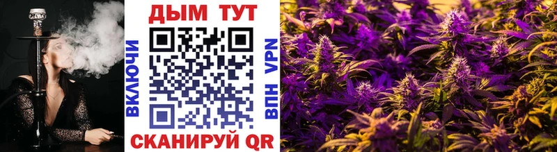 Купить где  Западная Двина  Бошки Шишки THC 21% 